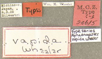 Media type: image; Entomology 20615   Aspect: labels
